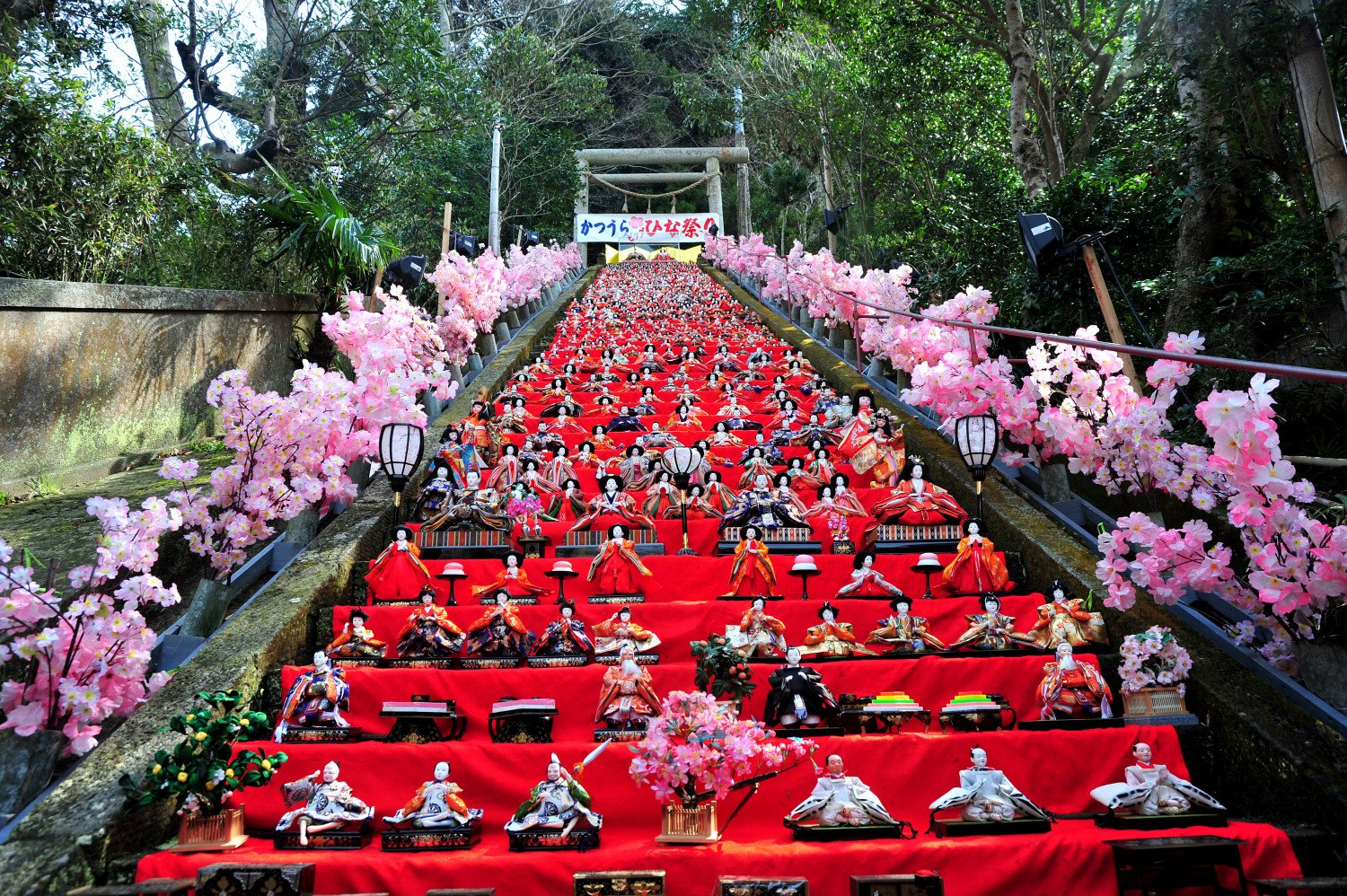 🐟 가쓰우라 아침시장(勝浦朝市) 이미지 6